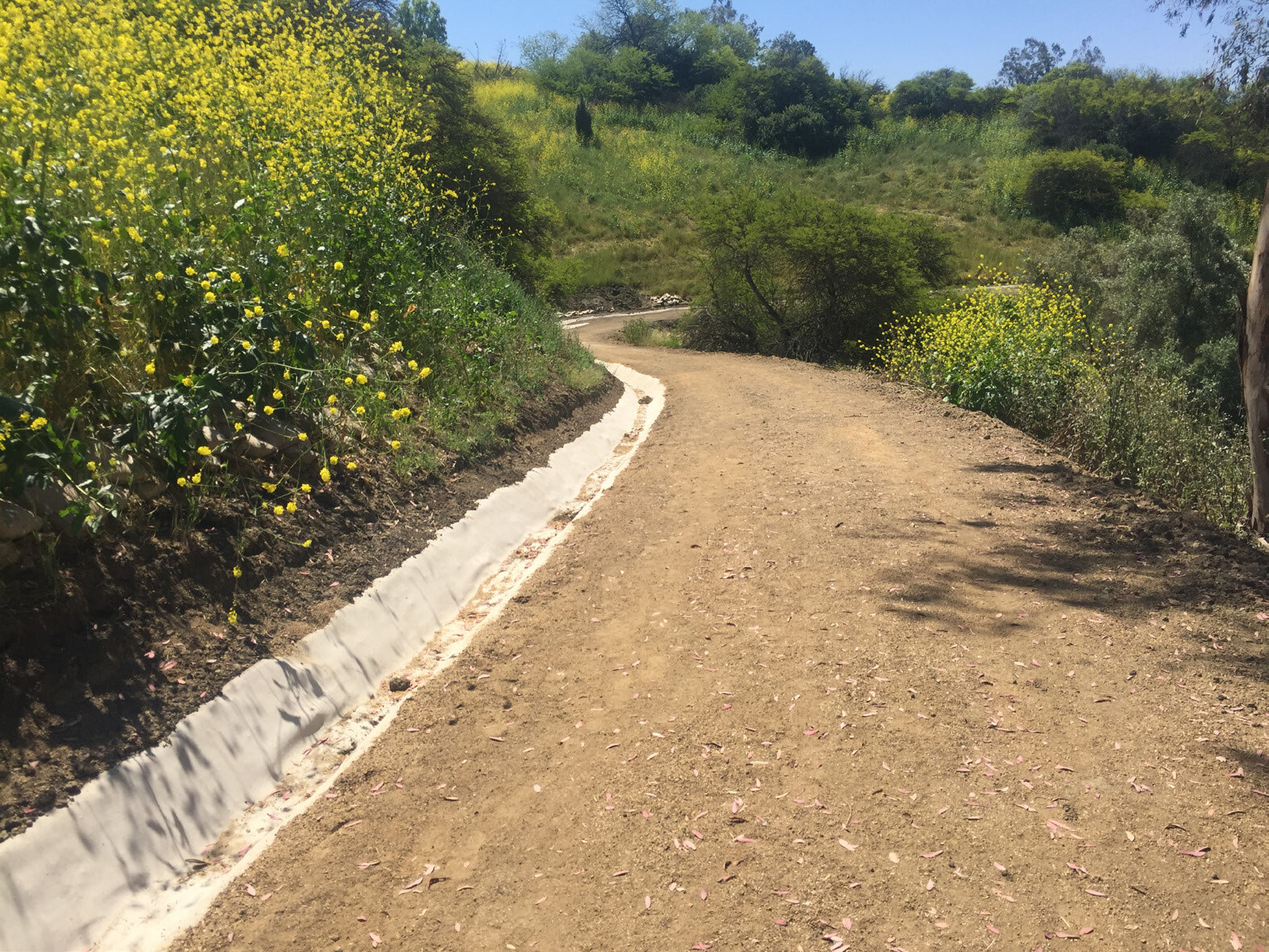 CC-Channel-Lining-Laguna-Niguel-California-USA