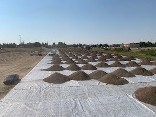 Swampgrid3